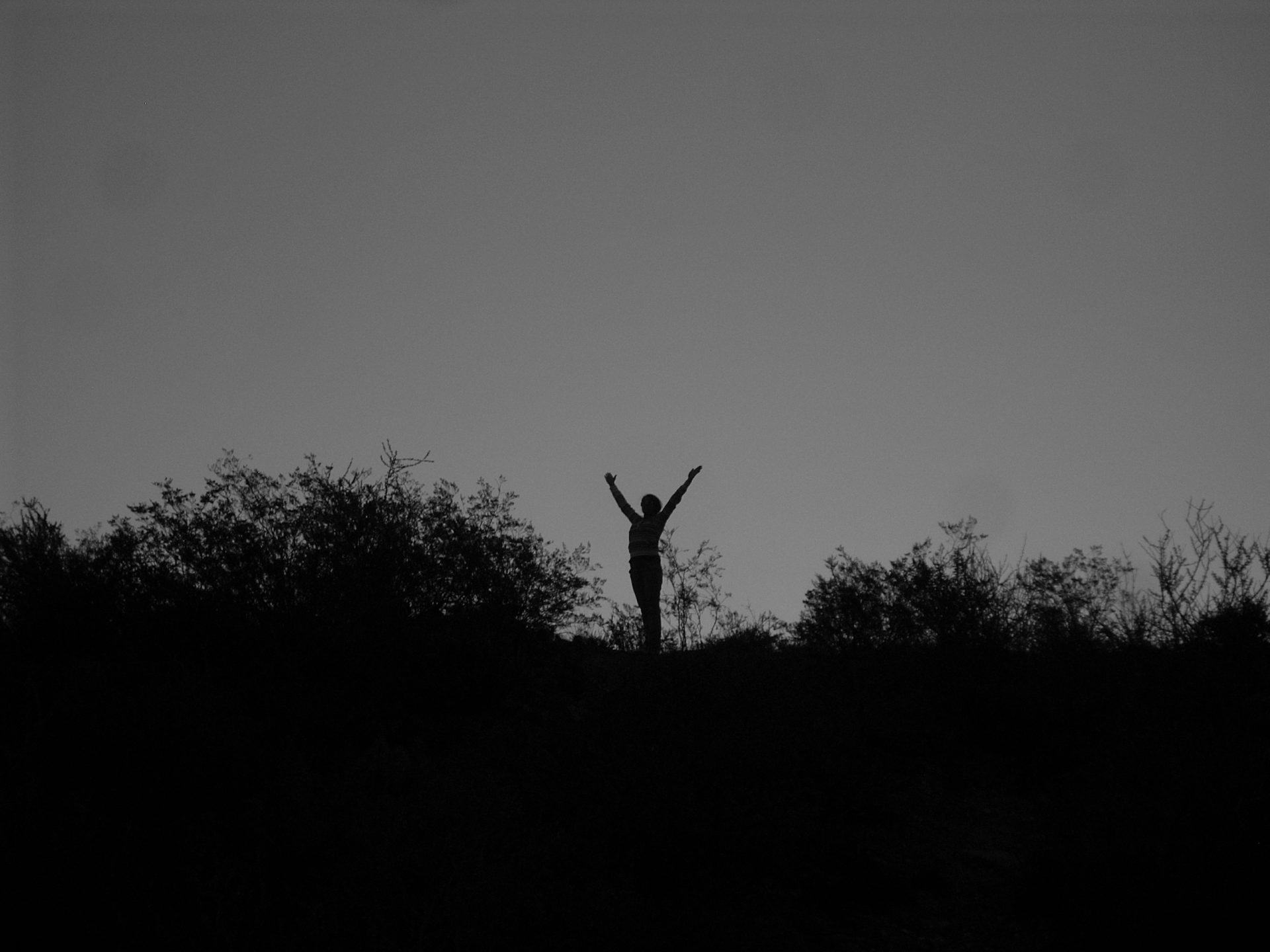 De la locura a la plenitud