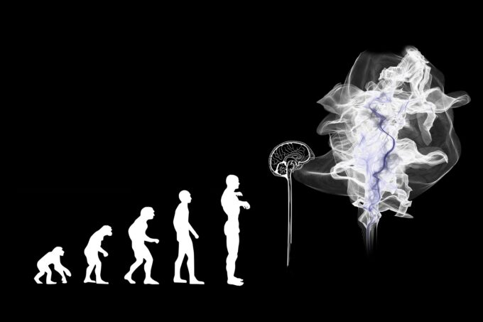 Mi evolución