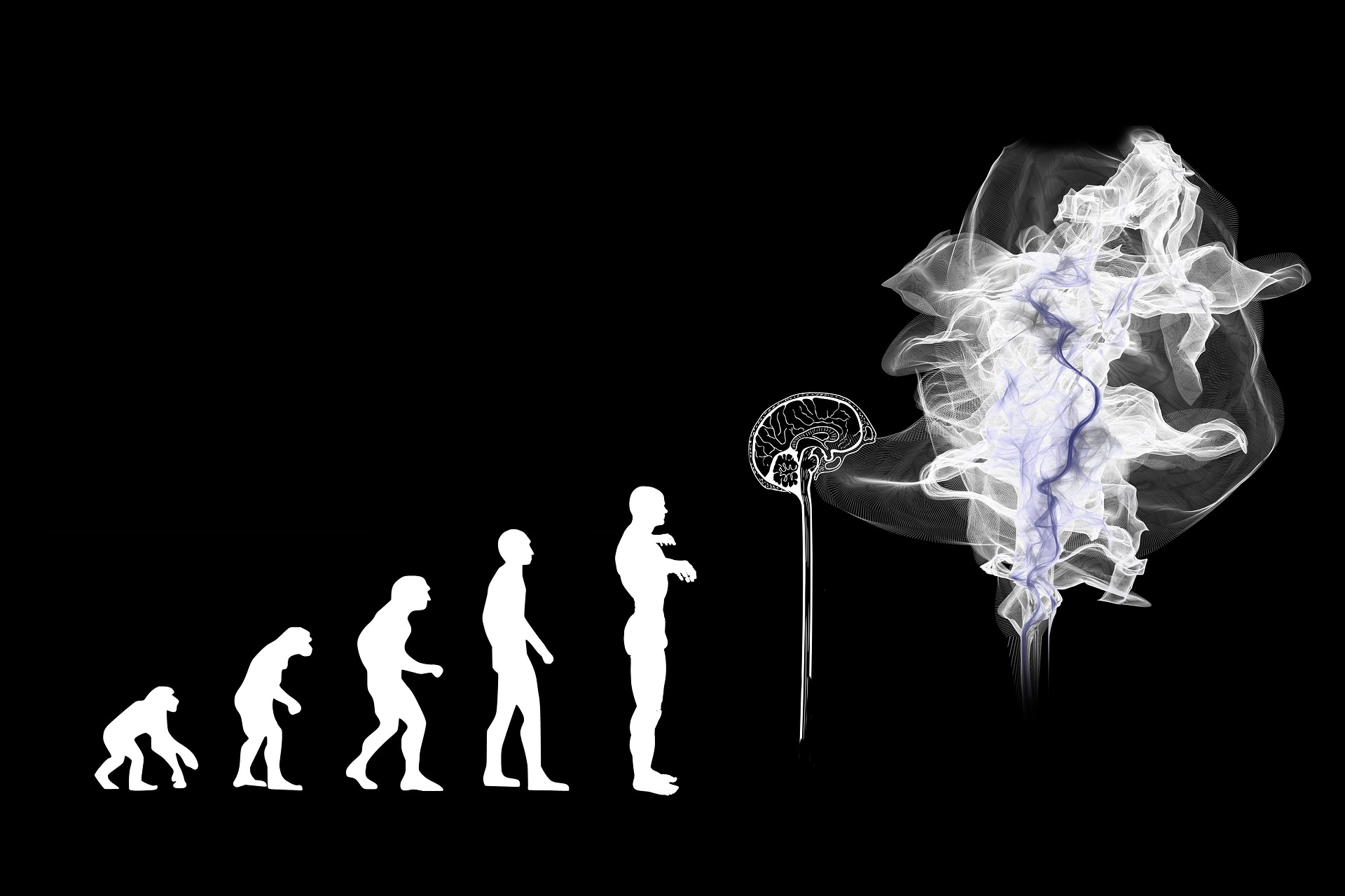Mi evolución