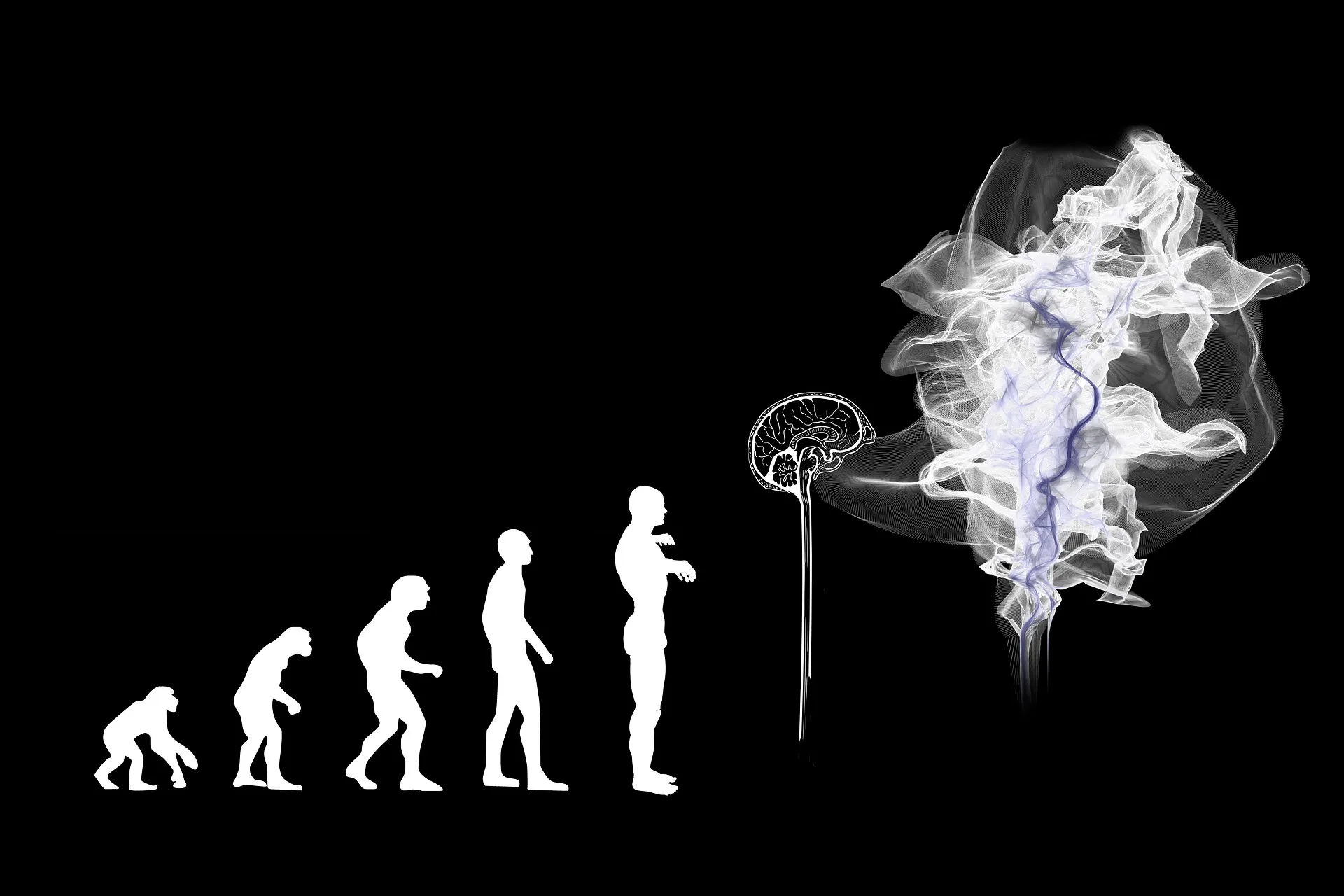 Mi evolución